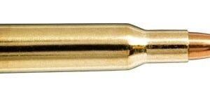 NORMA 222 Rem 55gr Tipstrike Varmint 20 Pack